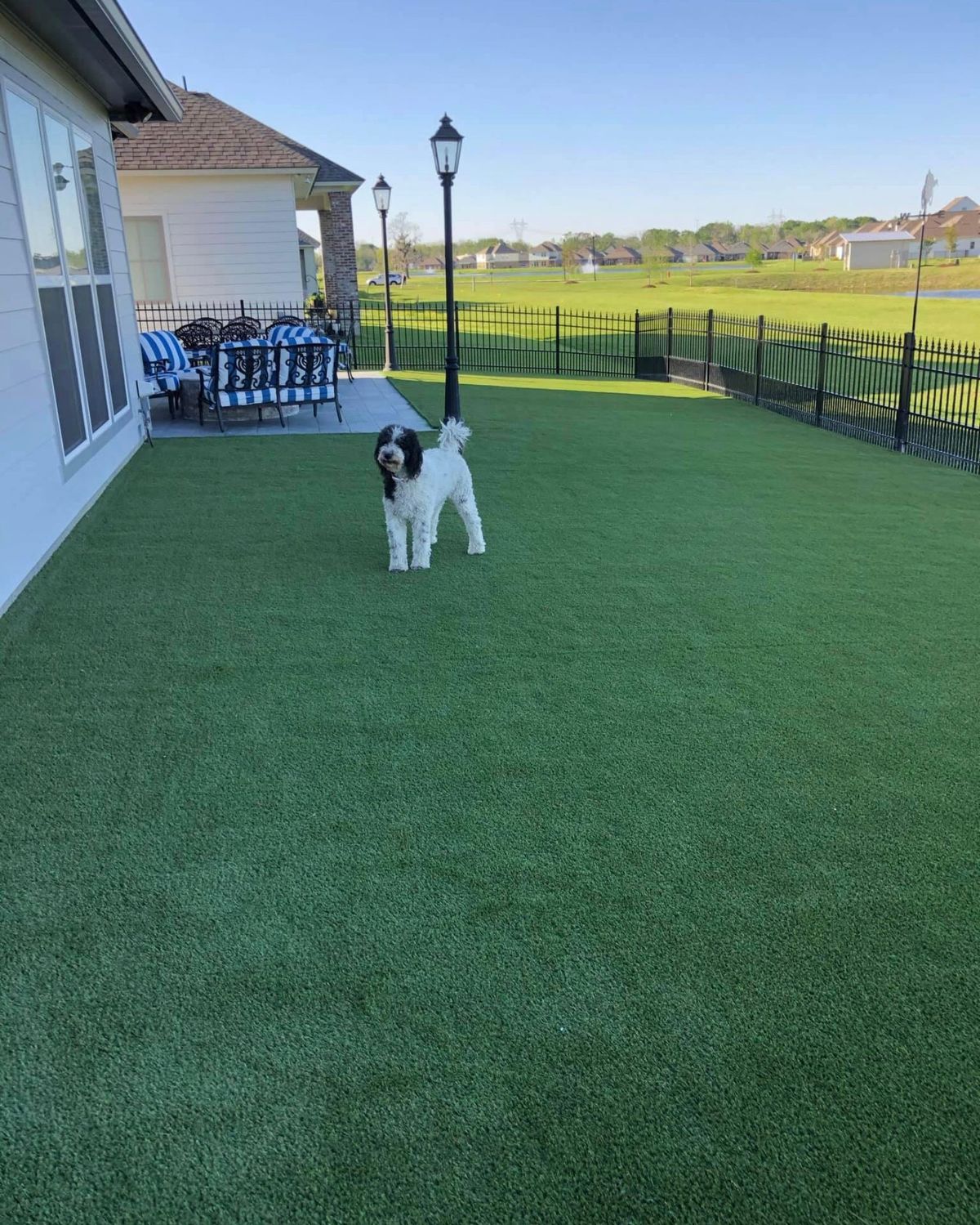 Pet-friendly artificial grass installation in Norwich - safe for dogs, cats and children